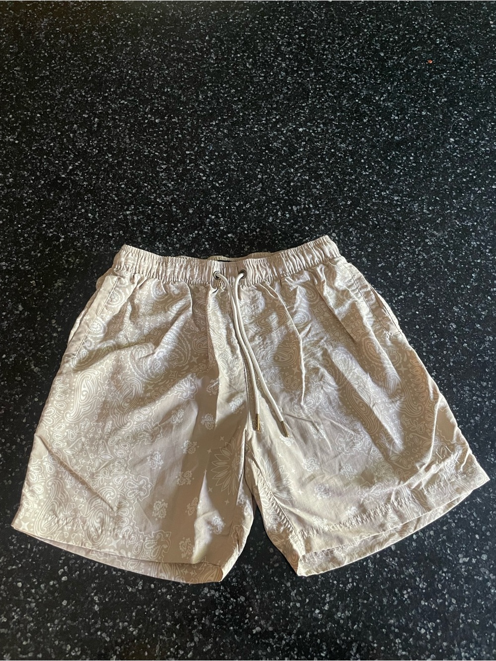 Lira Men's Swim Hybrids in Beige Paisley